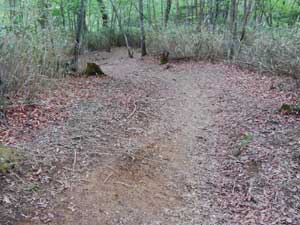 ��x�₩��̓o�R���B