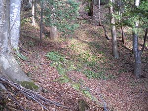 �W�������̓o�R��