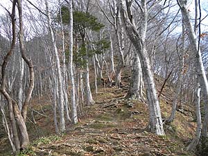 ���邢������