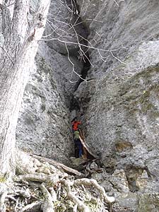 �a��������n�߂Ă���l