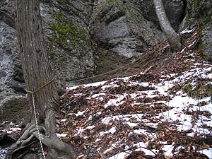 ���[�v���ݒu����Ă����B