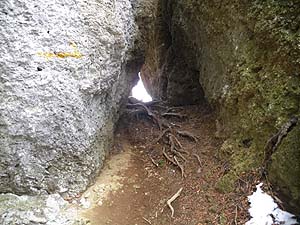 ��̌��Ԃ�������`