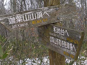 迦葉山まで0.3km