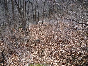 �����t�̑�����������B