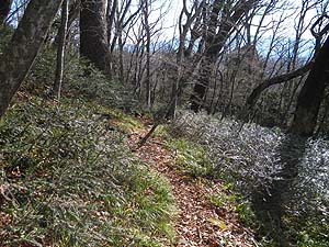 �o�R���͊ɂ₩�ɂȂ����B