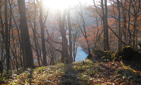 東屋からの眺め