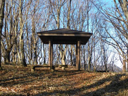 �R���̓���