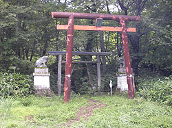 �����o�R��