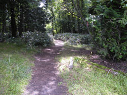 �L�t���̐X�ɕς��A�ɂ₩�ȉ����ƂȂ����B