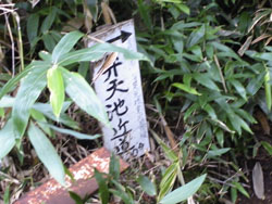 �ٓV�r�ߓ��̕W��