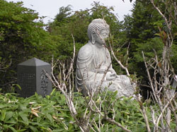 �傫�Ȏ߉ޔ@����