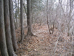 �R������̔�����