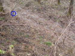 �ѓ���������