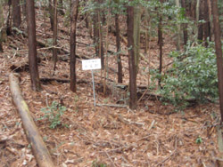 ��Ԑ_�� ���{��