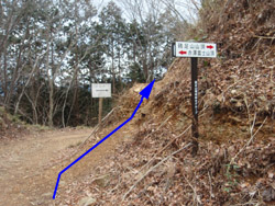 ����̕W��