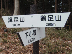 ����̕W��