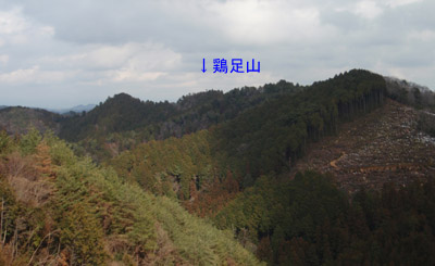 焼盛山近くから鶏足山を望む