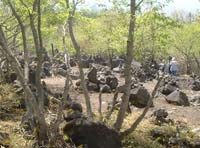 �΂̉͌� 1550��