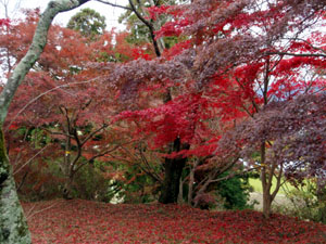 �R������̒���