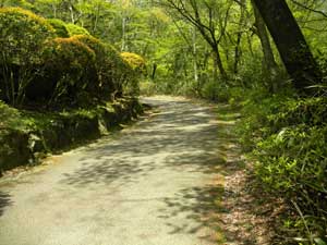 �A�X�t�@���g�̓�