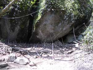 �����h���