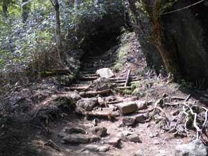 �����h��΂���̓o�R���B