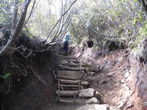 ���򂩂�̓o�R���B