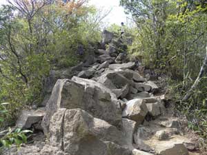 �����Ƃ�����̑����o�R����i�ށ`