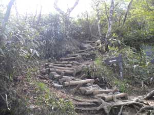 �ؒi�����ꂽ