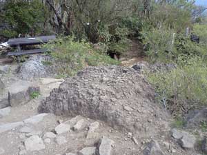 ���R�J�n�`