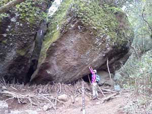 �����h���