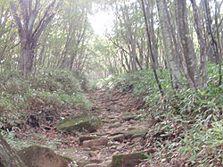 �Ώ��I�ȓo�R��