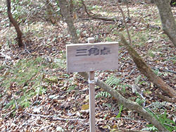 �O�p�_�̕W��