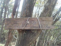 ���삵���R����