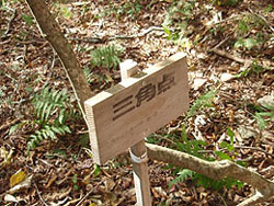 �O�p�_�̕W��