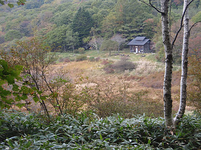 �Õ􃖌�����