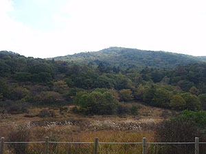 �Õ􃖌������q���b�e���猩�����i