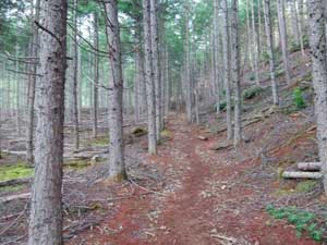 �ԗ�肩��̓o�R��