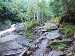 �i���ꂩ��̓o�R���B