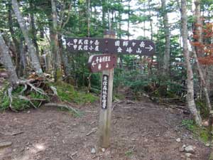 �Ő��̕���