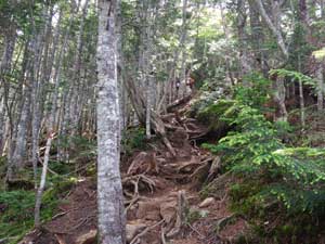 �}�Ȏ��ё�