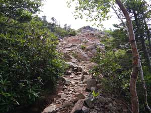 �}�Ȏ��ё�