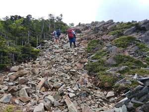 �}�Ȏ��ё�