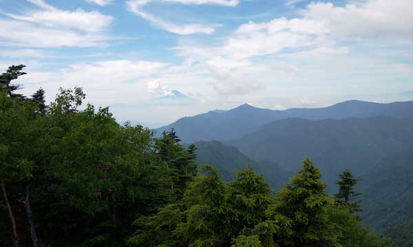 �R������̒���