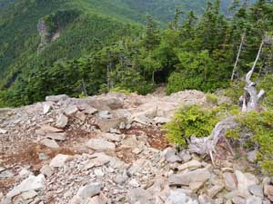 �R������̓o�R���B