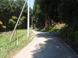 ���ԏꂩ��o�R���ւ̓�