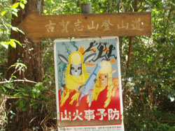 �É�u�R�o�R �R���̕W��