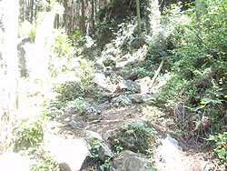 �s���m�ꂩ��̓o�R��