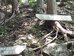 �[�������t�̋}�Ζ�