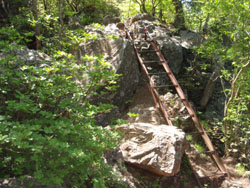 �n�V�S�o��`